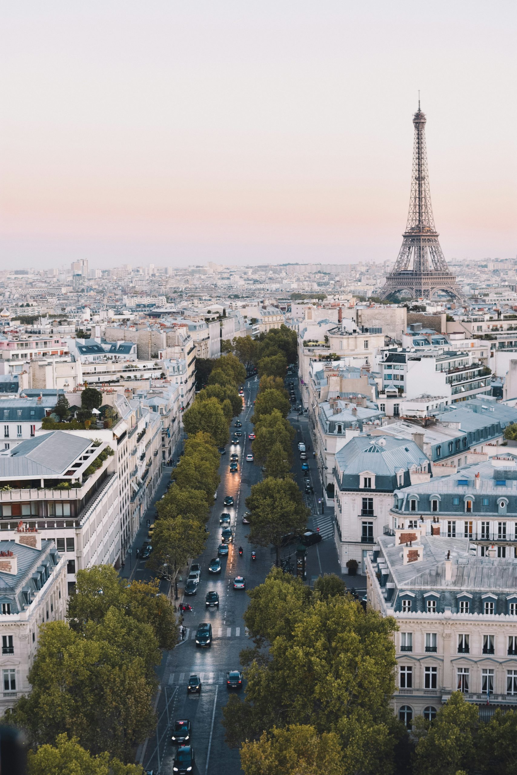 dan-novac-jpZjopNjtWE-unsplash
